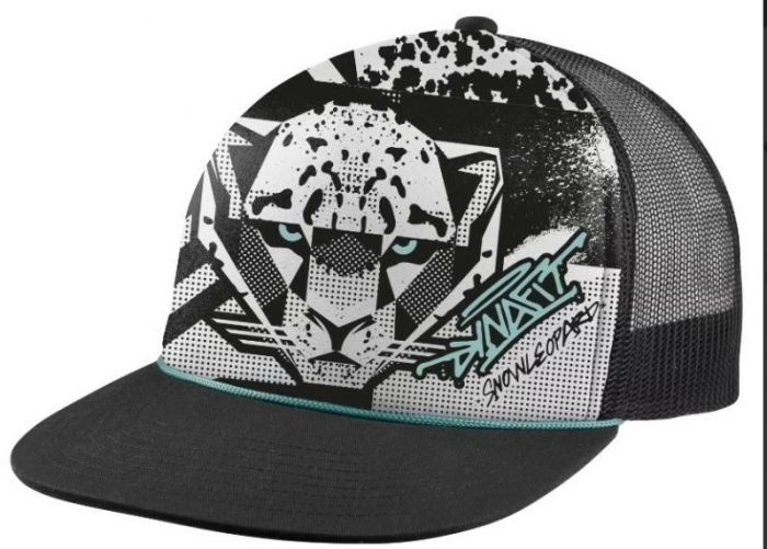 Dynafit Snow Leopard Trucker Cap Unisex