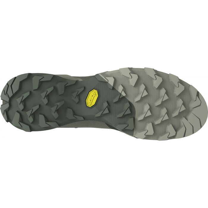 Dynafit Transalper GTX Running Shoe Men