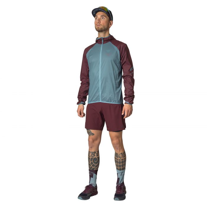 Dynafit Alpine Pro 2in1 Shorts Men